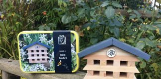 Apples to Pears Office Re-Opens Apples to Pears Bee Hotel