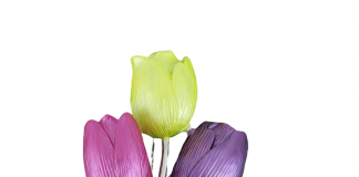 ‘Love Nature, Love Flowers’