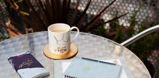 Yum! A Gift From The Gods launch chocolate bars