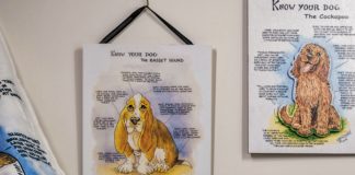 Special deal from Moocow Studios