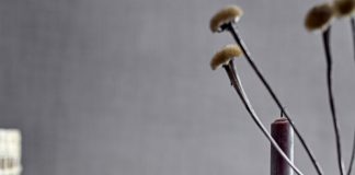 Bloomingville 20 years old