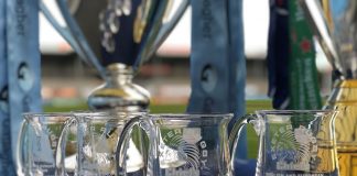 Dartington Crystal Raise A Glass To Exeter Chiefs Dartington Crystal Exeter Chiefs Tankards