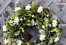 Sign up for Lang’s Staycation webinar!