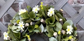 Sign up for Lang’s Staycation webinar!