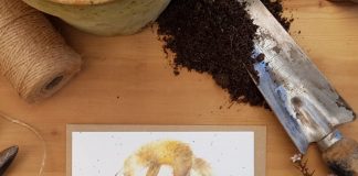 Send a card and a gift in one!