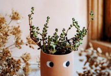 Autumn Fair set to brim with newness