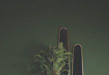 PTMD Collection introduce their new season collection