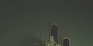 PTMD Collection introduce their new season collection