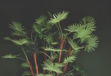 Quick delivery and healthy stock levels at PTMD Collection