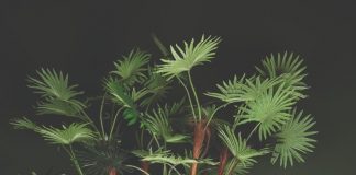 Quick delivery and healthy stock levels at PTMD Collection