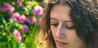 Lime Tree Design at Home & Gift