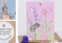 Mosney Mill’s Seed Cards at Home & Gift