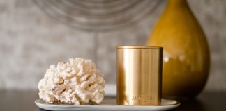 Autumn Fair launches app