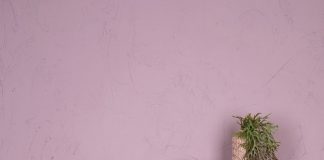 PTMD Spring Pre-Order Ends November