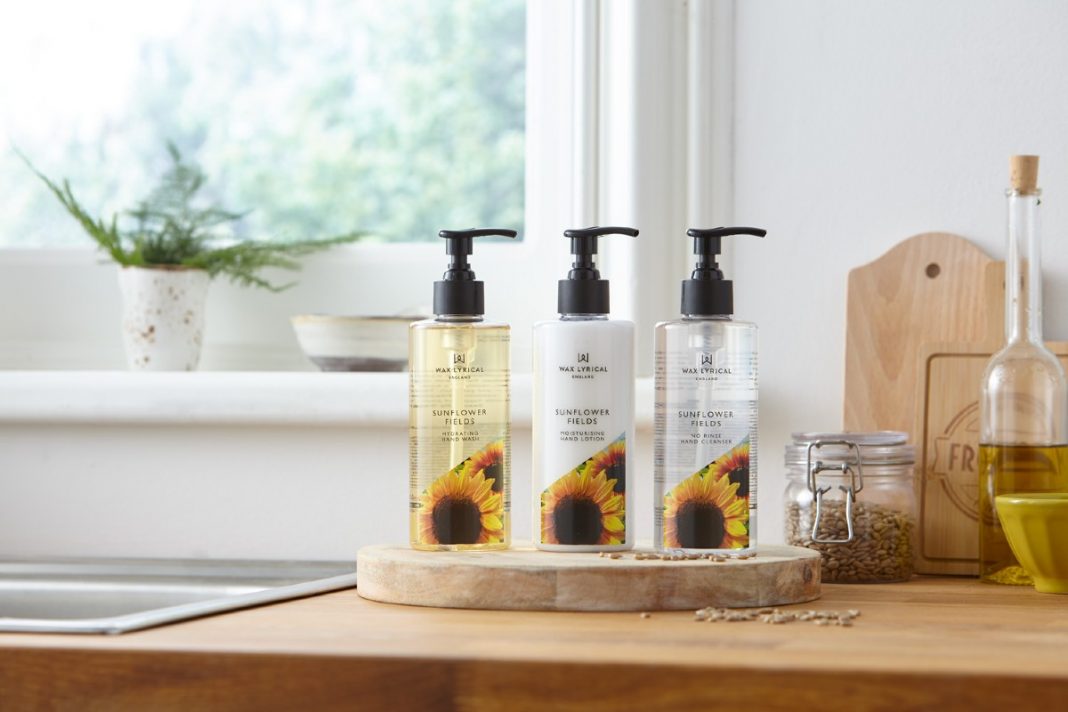 SunflowerFieldsuncroppedv3 edit