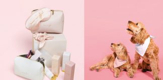 New launches from Katie Loxton New launches from Katie Loxton