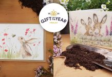 Hot Selling Seed Cards through to the Finals love country