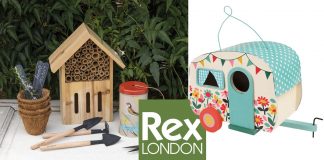 Let’s go outside… with Rex London Let’s go outside… with Rex London
