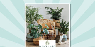 A bigger presence at Glee for Ivyline Ivyline at Glee