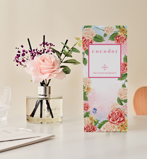 Broughton & Beech to distribute Cocodor