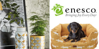 Enesco launches Scion Living Homeware Collection Enesco launches Scion Living Homeware Collection