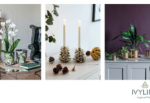 Ivyline inspires with new design-led collections Ivyline Products