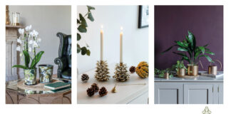 Ivyline inspires with new design-led collections Ivyline Products