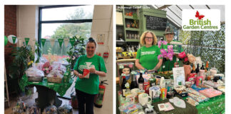British Garden Centres raises over £7,000 for Macmillan Coffee Morning British Garden Centres Charity Drive