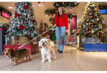 Christmas is coming early for John Lewis and Waitrose customers