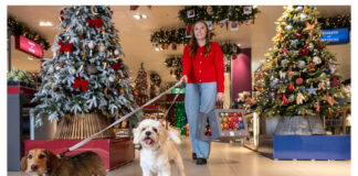 Christmas is coming early for John Lewis and Waitrose customers