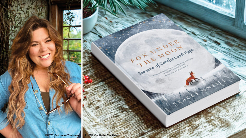 Fox Under The Moon book deal