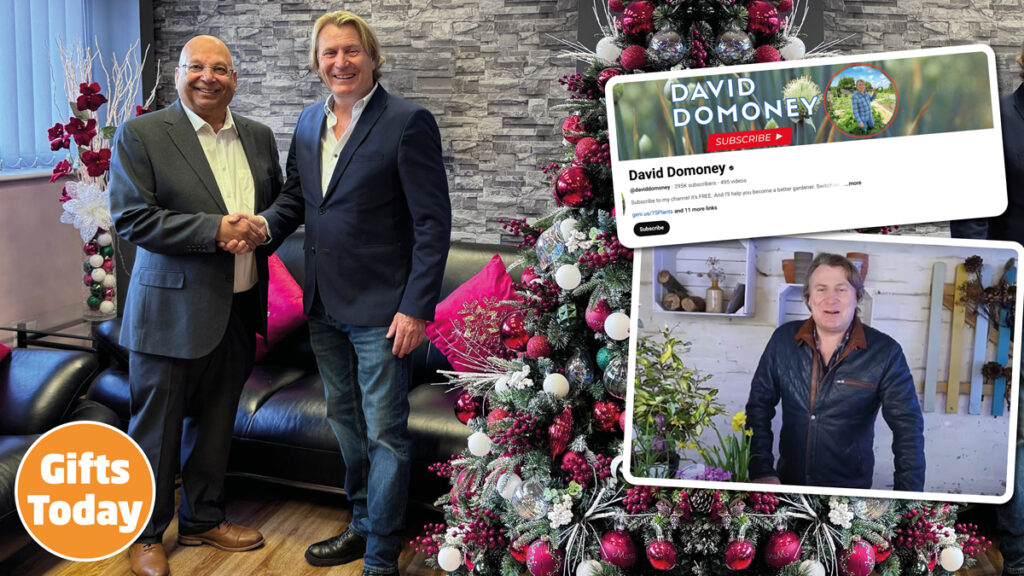 Premier Decorations Lighting up Christmas