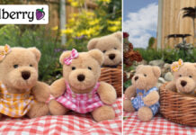 Wilberry Toys launches Teddy Bears Picnic set Wilberry Picnic