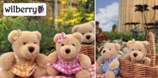 Wilberry Toys launches Teddy Bears Picnic set Wilberry Picnic