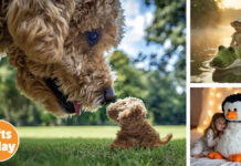 Warmies at Autumn Fair 2025 Warmies at Autumn Fair