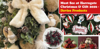 Must See at Christmas & Gift: Davies Products Must See Davies Products