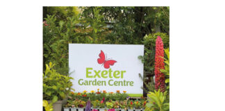 British Garden Centres hits 80 stores with Exeter acquisition BGC aquisition