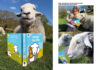 Herdy reveals launch date for debut children’s book collection Herdy books