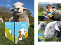 Herdy reveals launch date for debut children’s book collection Herdy books