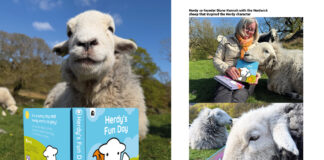 Herdy reveals launch date for debut children’s book collection Herdy books
