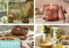 Must See at Home & Gift: Candlelight Must See Candlelight