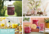 Must See at Home & Gift: Wax Lyrical Must See Wax Lyrical