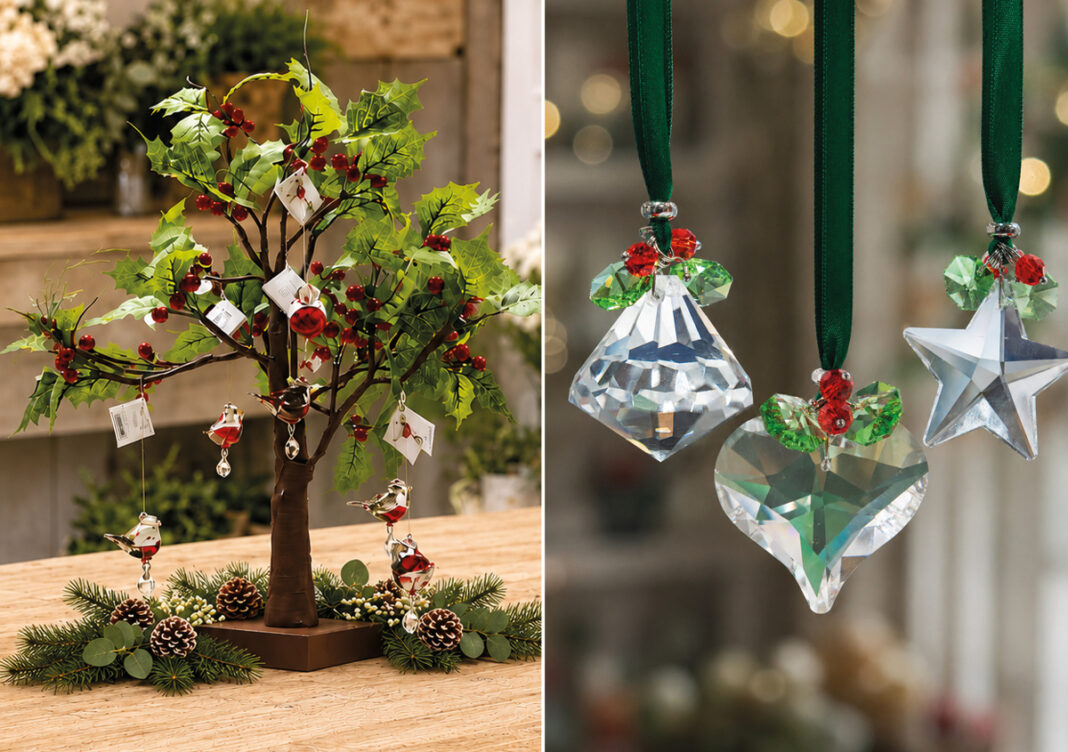 Wild Things Wild Things festive showings